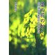 菜の花の如く―信州須坂藩豪商田中本家物語 [単行本]