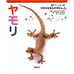 ヤモリ(育てて、しらべる日本の生きものずかん〈10〉) [図鑑]