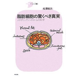 脂肪細胞の驚くべき真実―メタボリックシンドロームの科学(シリーズCura) [単行本]