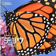 チョウ(ナショナルジオグラフィック動物大せっきん) [図鑑]