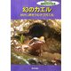 幻のカエル―がけに卵をうむタゴガエル(ドキュメント地球のなかまたち) [全集叢書]