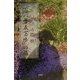 「百八十五万歩」の旅―四国八十八寺歩き遍路 [単行本]