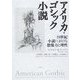 アメリカ・ゴシック小説―19世紀小説における想像力と理性 [単行本]