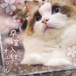 卒業入学オルゴール (PREMIUM ORGEL)