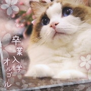 卒業入学オルゴール (PREMIUM ORGEL)