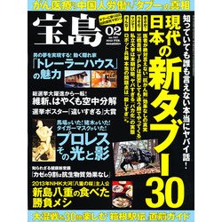 宝島 2013年 02月号 [雑誌]
