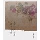 もう一つの彩月―絵とことば [単行本]