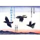 上田のカラス―おとむらいに行った(語り継ぐ戦争絵本シリーズ―白木の箱) [絵本]