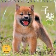 子柴 2013[カレンダー]（Yama-Kei Calendar） [単行本]