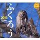 ふくろう 2013[カレンダー]（Yama-Kei Calendar） [単行本]
