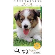 こいぬ 2013[カレンダー] [単行本]