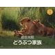 岩合光昭どうぶつ家族 2013[カレンダー]（Yama-Kei Calendar） [単行本]