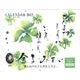 金子みすゞ-見えぬけれどもあるんだよCalendar 201 [カレンダー]