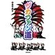 ヅカ(宝塚)ファン道 [単行本]