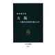 大阪―大都市は国家を超えるか(中公新書) [新書]
