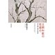 王朝和歌の想像力―古今集と源氏物語 [単行本]