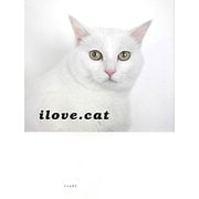ilove.cat [単行本]