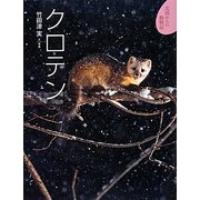 クロテン(北国からの動物記〈6〉) [絵本]