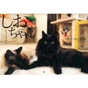 しゃべるねこ、しおちゃんCALENDAR 2013 [カレンダー]