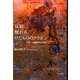 反絵、触れる、けだもののフラボン―見ることと絵画をめぐる断片 [単行本]