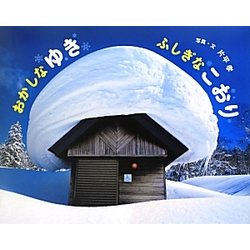 おかしなゆき ふしぎなこおり(ふしぎいっぱい写真絵本〈20〉) [絵本]