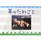 羊のたわごと [単行本]