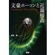 文豪ホーソンと近親相姦 [単行本]