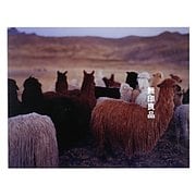 ペルー アルパカ [単行本]