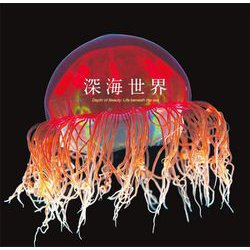 深海世界 [単行本]
