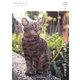 ほころび時間〈2〉フェルトアートの小猫たち [単行本]