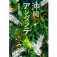 沖縄アンダンテ [単行本]