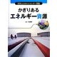 かぎりあるエネルギー資源(世界と日本のエネルギー問題) [全集叢書]