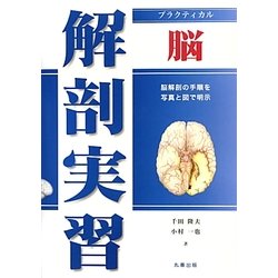 プラクティカル解剖実習 脳 [単行本]