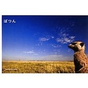 ぽつん(ナショジオワンダーフォトブック) [単行本]