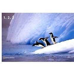 1、2、3(ナショジオワンダーフォトブック) [単行本]