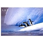 1、2、3(ナショジオワンダーフォトブック) [単行本]