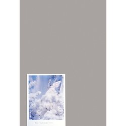 White―鈴木理策写真集 [単行本]