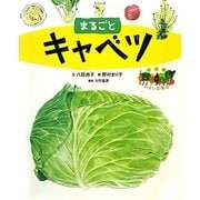 まるごとキャベツ(絵図解やさい応援団) [絵本]