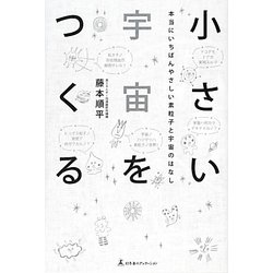 小さい宇宙をつくる―本当にいちばんやさしい素粒子と宇宙のはなし [単行本]