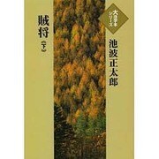 賊将 下（大活字本シリーズ）