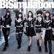 BiSimulation