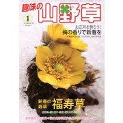 趣味の山野草 2013年 01月号 [雑誌]