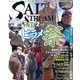 SALT & STREAM (ソルトアンドストリーム) 2013年 02月号 [雑誌]