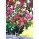 Clematis Gallery―美しさでひもとくクレマチス図鑑(ジュエリーブックシリーズ〈3〉) [図鑑]