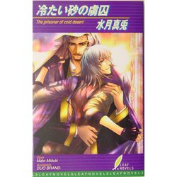 冷たい砂の虜囚(リーフノベルズ) [新書]