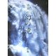 日本の幻の滝 [単行本]