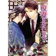 一夜妻になれたら(幻冬舎ルチル文庫) [文庫]