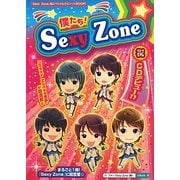 僕たち!Sexy Zone [単行本]