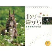 北の森から動物が見ていた! 2013[カレンダー]－太田達也作品集（Yama-Kei Calendar） [単行本]