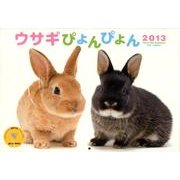 ウサギぴょんぴょん 2013[カレンダー]（Yama-Kei Calendar） [単行本]